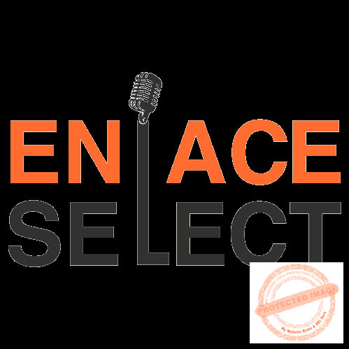 Terms and Conditions enlaceselect